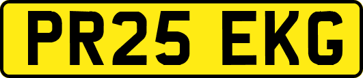PR25EKG