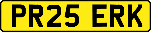 PR25ERK