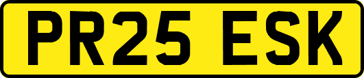 PR25ESK
