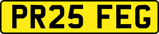 PR25FEG