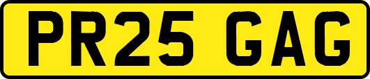 PR25GAG