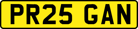 PR25GAN