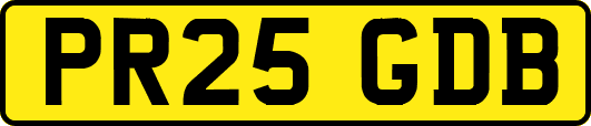 PR25GDB