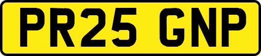 PR25GNP
