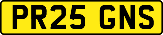 PR25GNS