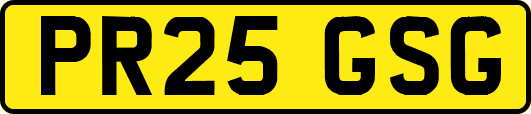 PR25GSG