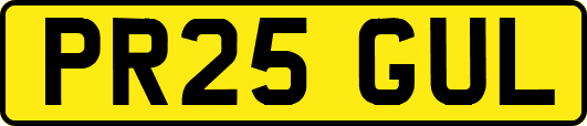 PR25GUL