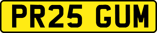 PR25GUM
