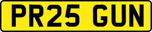 PR25GUN