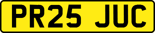 PR25JUC