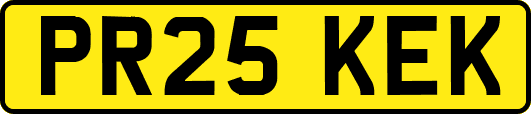 PR25KEK