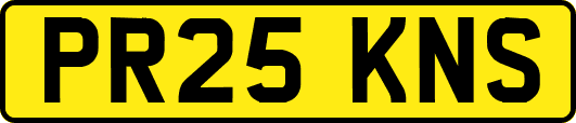 PR25KNS