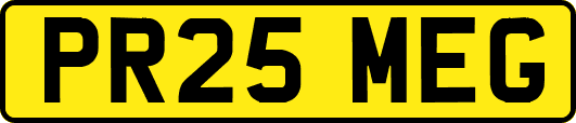 PR25MEG