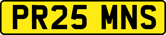 PR25MNS