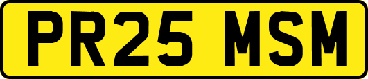 PR25MSM