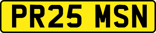 PR25MSN