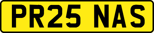 PR25NAS