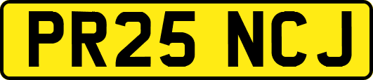 PR25NCJ
