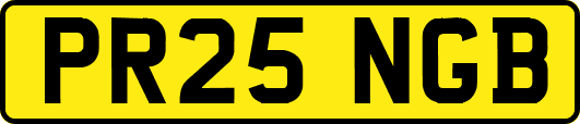 PR25NGB