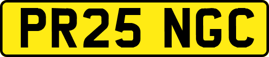 PR25NGC
