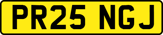 PR25NGJ