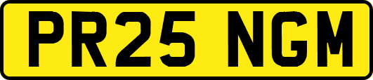 PR25NGM