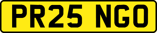PR25NGO