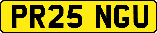 PR25NGU