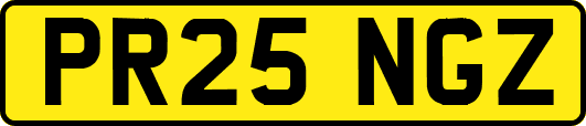 PR25NGZ