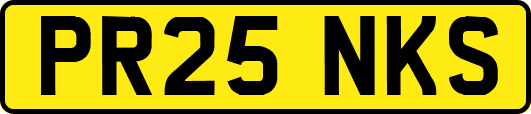 PR25NKS