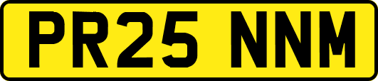 PR25NNM