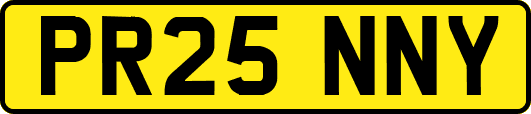 PR25NNY