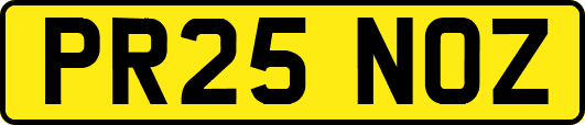 PR25NOZ