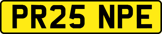 PR25NPE