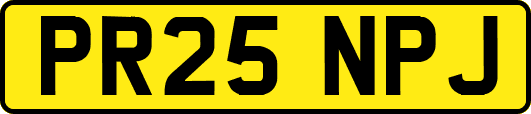 PR25NPJ