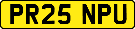 PR25NPU