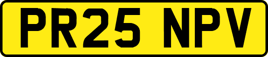 PR25NPV