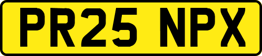 PR25NPX
