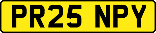 PR25NPY