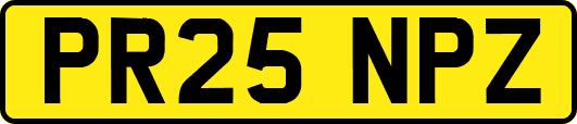 PR25NPZ