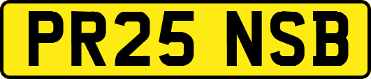PR25NSB
