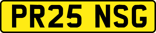 PR25NSG
