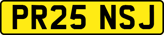 PR25NSJ