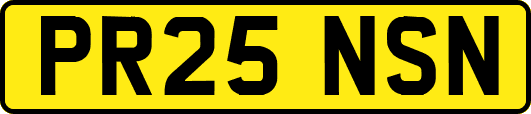 PR25NSN