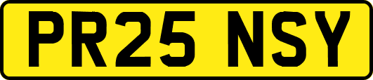 PR25NSY