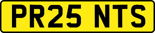 PR25NTS