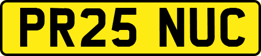 PR25NUC