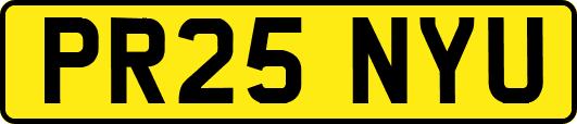PR25NYU