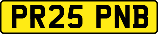 PR25PNB