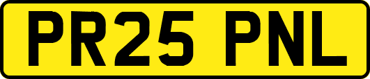PR25PNL